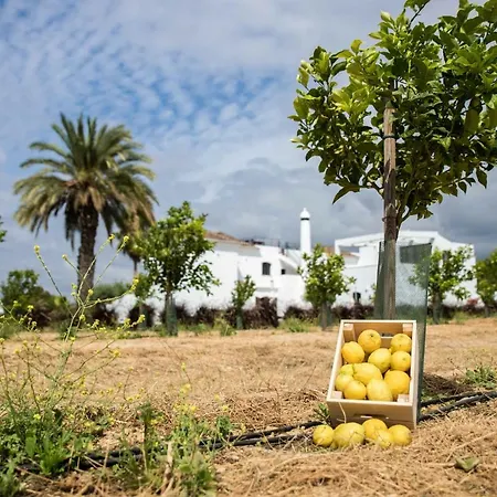 Casa Manor Pedras De Cima Tavira